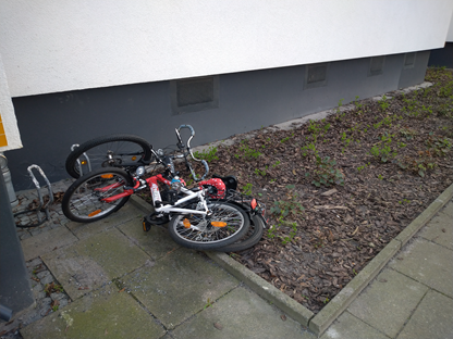 Fahrräder in Grünanlage (1)
